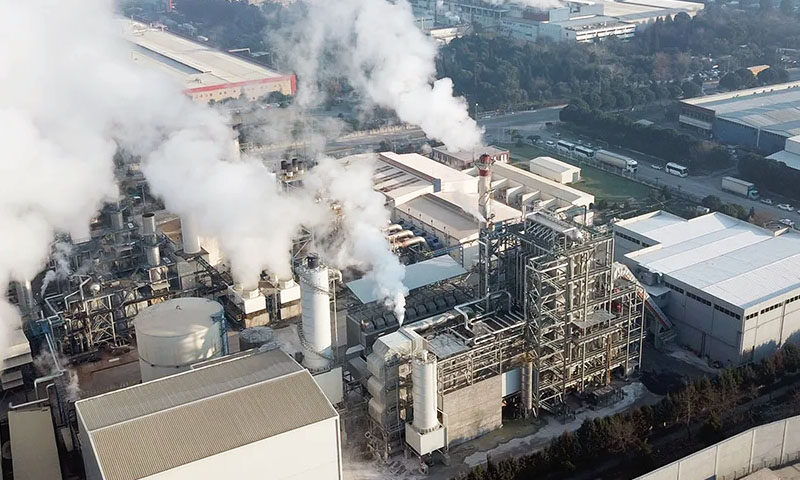 Mosbio Centrale Èlectrique à Biomasse